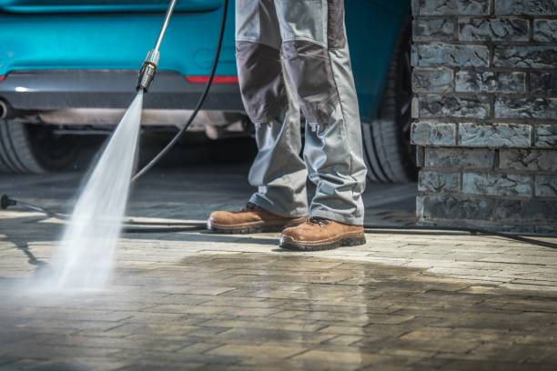 Best Dumpster Area Cleaning  in Norwood, PA